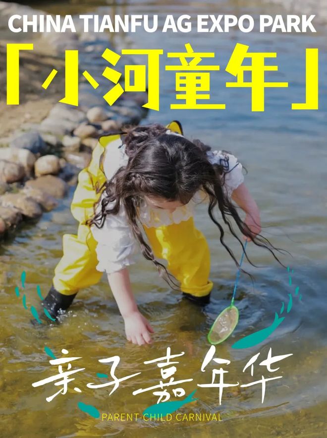 田星空音乐会好治愈OG真人新津这场大(图5)