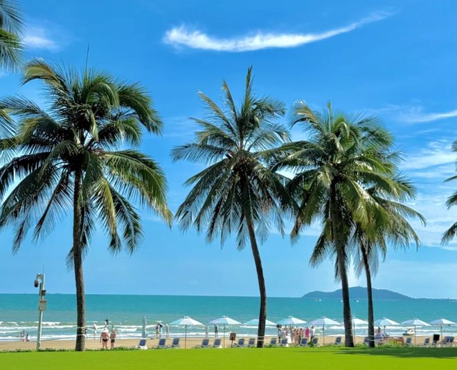 五日游纯玩团报价线路如何玩更省钱OG真人三亚五天四晚跟团旅游攻略(图3)